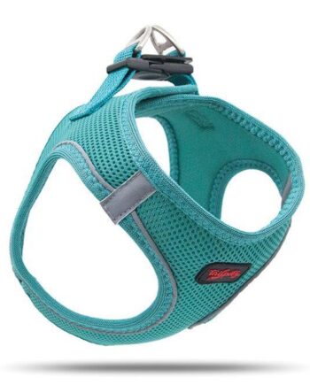Tailpetz Air Mesh Köpek Göğüs Tasması 2XSmall 28x32 cm Emerald