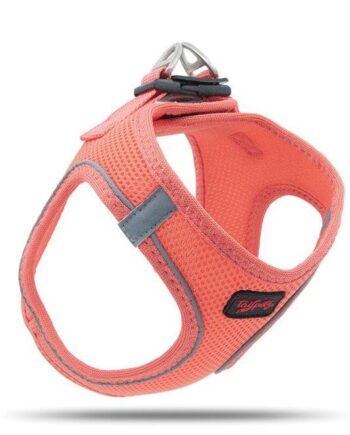 Tailpetz Air Mesh Köpek Göğüs Tasması Medium 44x48 cm Somon