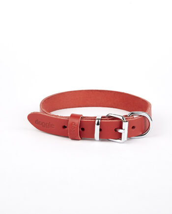 Doggie Deri El Yapımı Köpek Boyun Tasması 2x35-40 cm Kırmızı