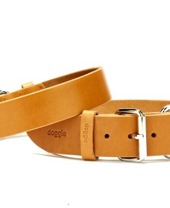 Doggie Deri El Yapımı Köpek Boyun Tasması 3,5x47-55 cm Kamel