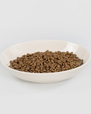 Animal World Kuzu Etli Pirinçli Yavru Köpek Maması 1 kg Açık Mama