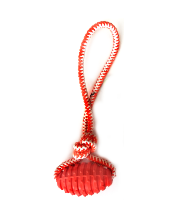 Köpek Oyuncağı İpli Top 10x32 cm Turuncu