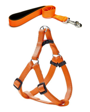Köpek Göğüs Tasma Seti 60-75 cm Turuncu + Gezdirme Kayışı