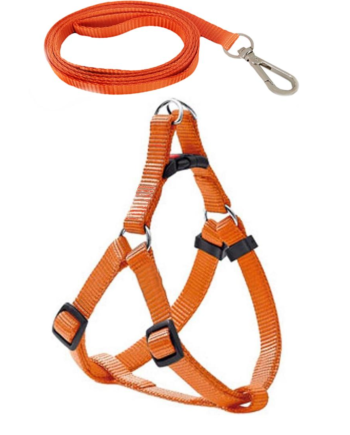 Köpek Göğüs Tasma Seti 25-40 cm Turuncu + Gezdirme Kayışı