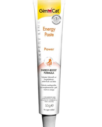 Gimcat Energy Paste Power Kedi Macunu 50gr