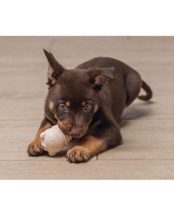 Beeztees Yavru Köpek Sumo Mını Dental Oyuncak Xs 3-6 kg