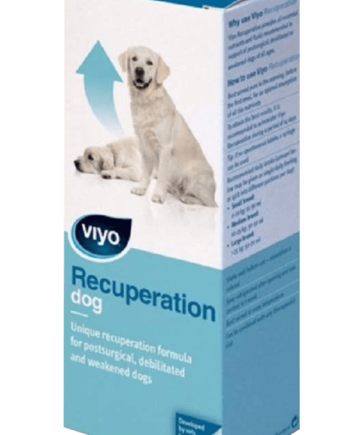 Viyo Recuperation Köpek Ek Besin Takviyesi 150 ML