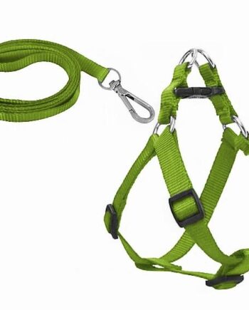 Köpek Göğüs Tasma Seti 30-50 cm Yeşil + Gezdirme Kayışı